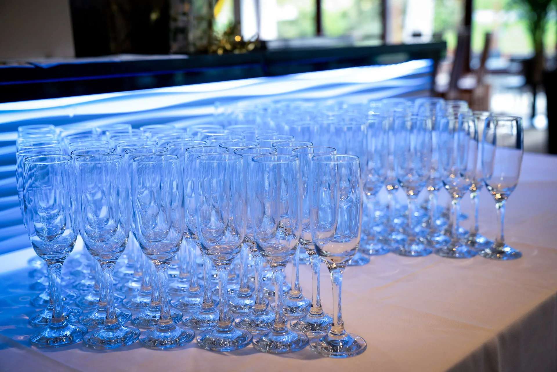 Champagne glasses ready for christmas party guests in calverton