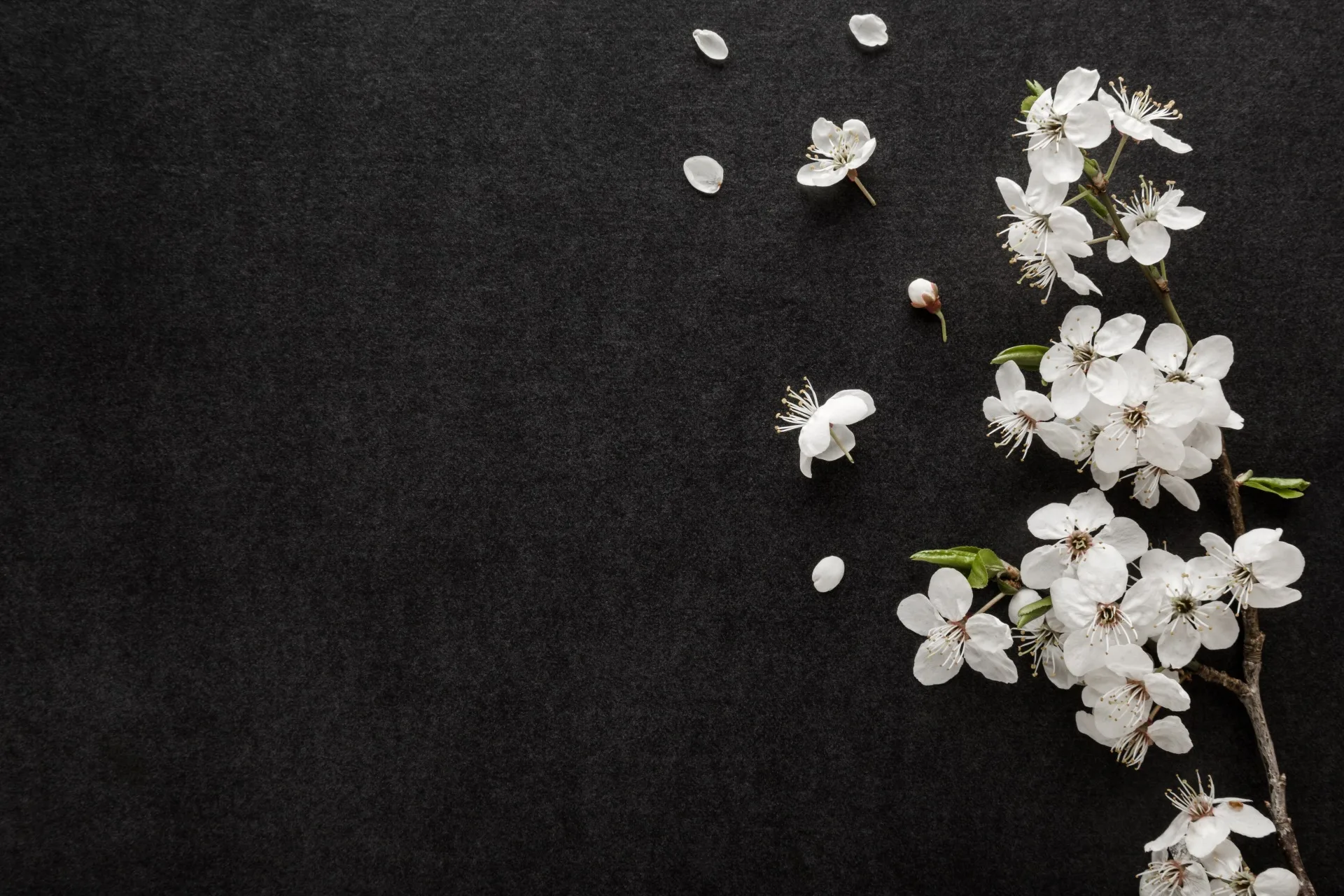 white flowers at a wake venue in nottingham