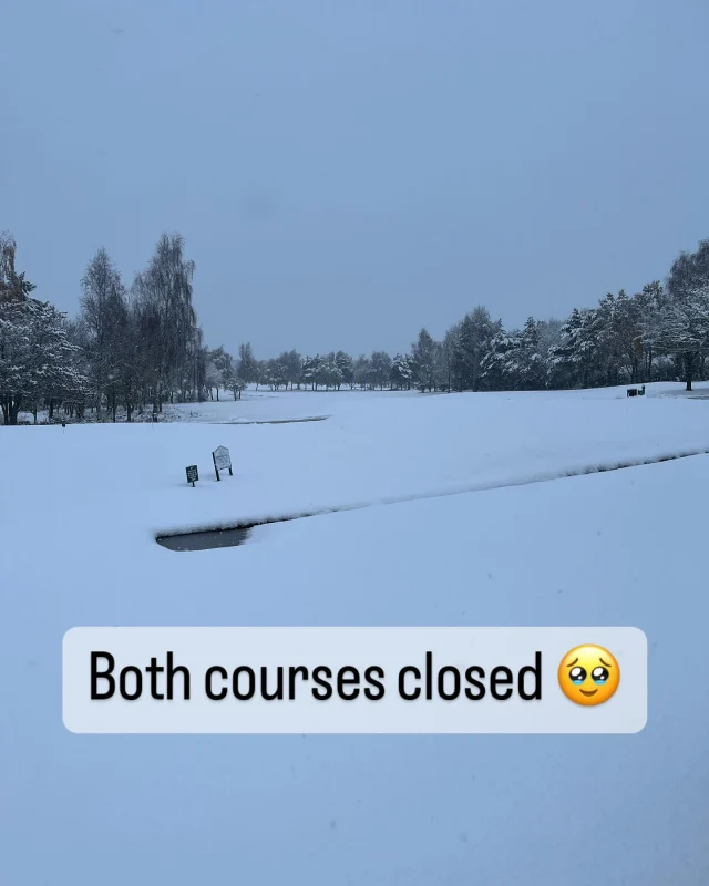 Instagram post 18146894563344757